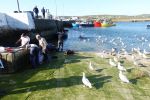 PICTURES/Ring of Kerry - Valentia Island/t_DSC00300.JPG